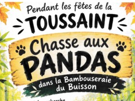 Chasse aux pandas l Jardin Plan Buisson