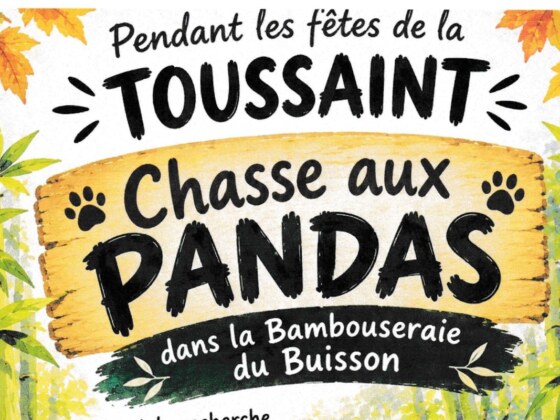 Pays de bergerac