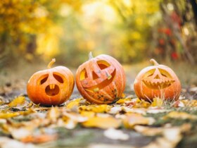 Halloween à la Filature de Laine de Belvès