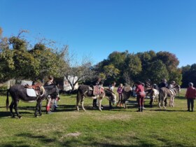 agenda Dordogne Visite de la ferme des ânes