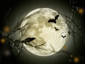 Halloween : film " Wolfman " et soirée costumée