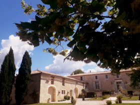 Château Masburel | Visite & dégustation