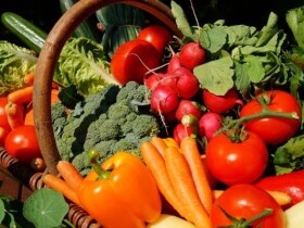 Agenda Dordogne Marché alimentaire Jumilhac le Grand