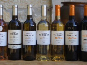 Visite et dégustation de 7 vins - 10h | Vignobles Alard