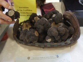 Marché aux Truffes de Sainte-Alvère