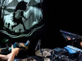 Centre Culturel : L'ours et la louve