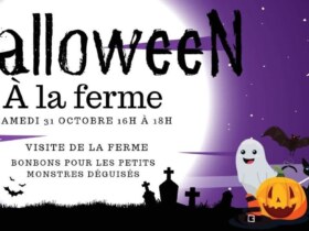 Halloween, visite de la ferme